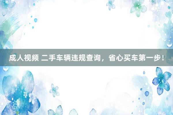 成人视频 二手车辆违规查询，省心买车第一步！