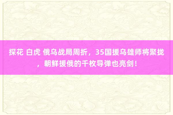 探花 白虎 俄乌战局周折，35国援乌雄师将聚拢，朝鲜援俄的千枚导弹也亮剑！