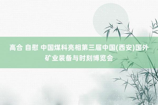 高合 自慰 中国煤科亮相第三届中国(西安)国外矿业装备与时刻博览会